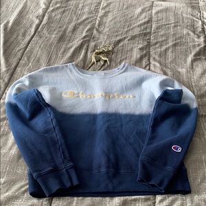 Champion Sweatshirt